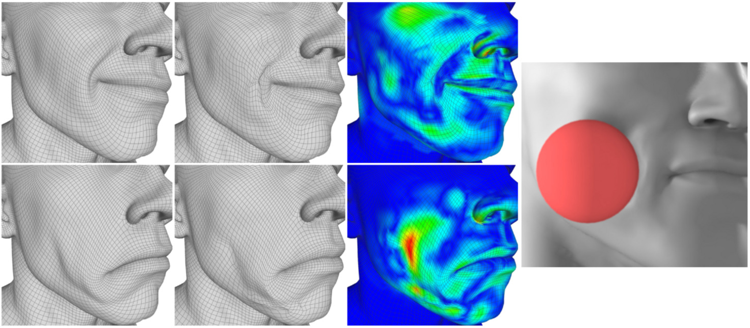 Facial Simulation