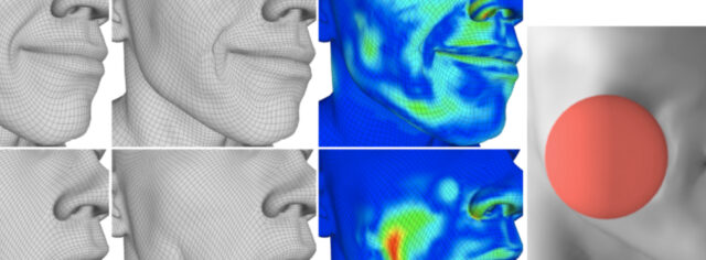 Data Optimization for Facial Simulation