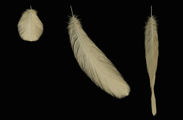 R&D Feathers